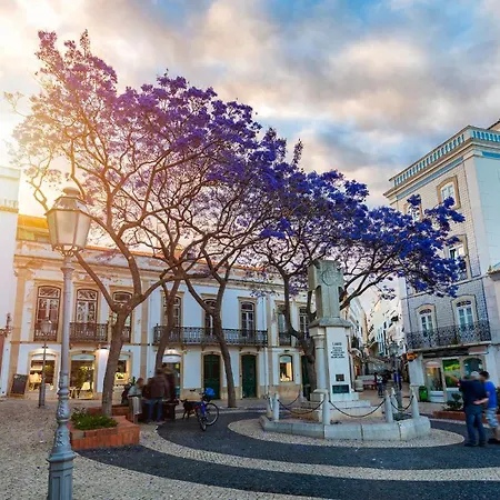 Casa Aquazul - Bem Localizado Em